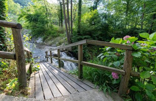Sapanca Cama Y Desayuno | İstanbuldere Alabalıkevi