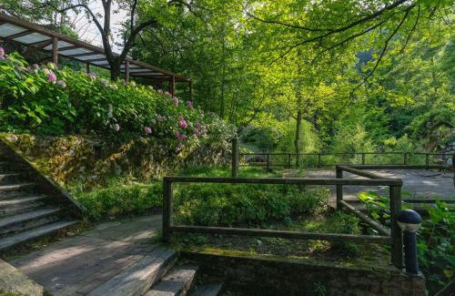 Sapanca Cama Y Desayuno | İstanbuldere Alabalıkevi
