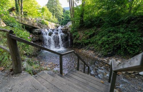 Sapanca Cama Y Desayuno | İstanbuldere Alabalıkevi