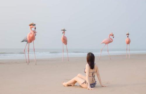 Hoang Hoa Apartamento | IB306 Tự doanh - Flamingo Hải Tiến