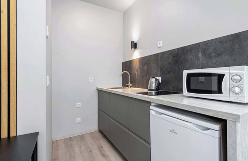 Reykjavik Apartamento | Iceland Comfort Apartments Studio 3 Adults