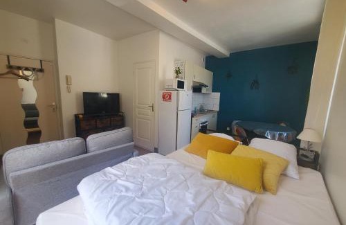 Bourgueil Apartamento | Idéal pied à terre pour visite des châteaux et cnpe