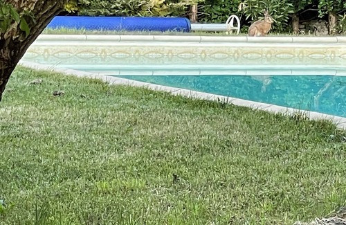 Saux Apartamento | Idéal Pour Séjour Tranquille à 2 ou 3 Avec Piscine