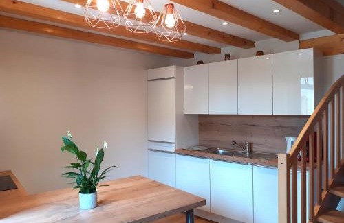 Rouffach Casa | Idéal séjour Alsace ! proche Colmar, gîte Muse avec son jardin