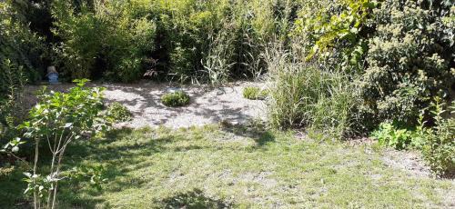 Rouffach Casa | Idéal séjour Alsace ! proche Colmar, gîte Muse avec son jardin