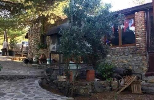 Zeytinli Otro | ida bay doğa evleri
