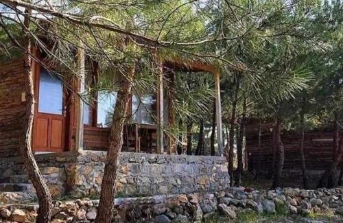 Zeytinli Otro | ida bay doğa evleri