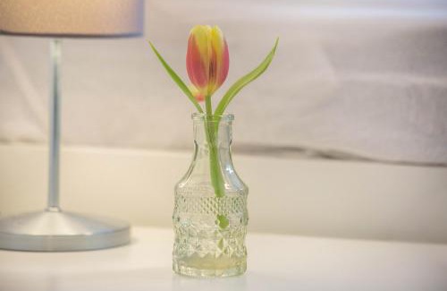 Blumenviertel Apartamento | Ideal für die Entdeckerfamilie
