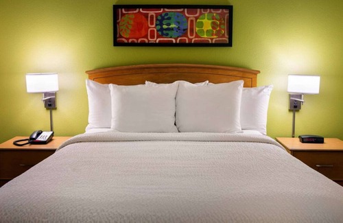 Shea Business Park Hotel | Ideal Home Base for Exploring Scottsdale's Rich Culture & Nature w/ Outdoor Pool
