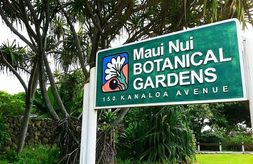Kahului Casa | Ideal Spot! Pet-Friendly, Close to Kanaha Pond Wildlife Sanctuary