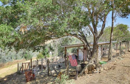Fallbrook Apartamento | Idyllic Fallbrook Guest House for Families!