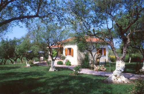 Skafidia Casa | agradable joya, rodeado de olivares, cerca del mar.