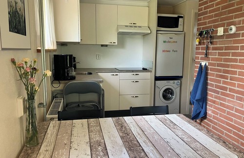 Zuideinde Cabaña | Idyllic house with spacious garden next to canal, boat rent is possible (extra)