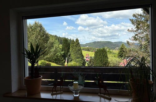 Baiersbronn Apartamento | Idyllic vacation apartment on the edge of the national park, pet & family friendly