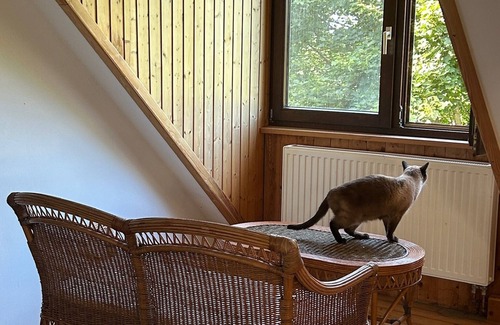 Grutz Casa | Idyllic vacation home in Havelland - nature, peace & lots of charm