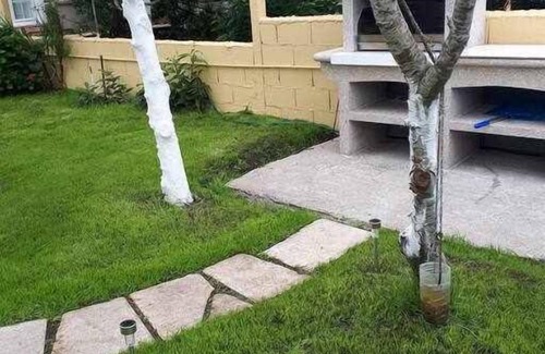 Larino Apartamento | Apartamento con balcón al lado de la iglesia.