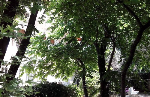 Kato Rodini Apartamento | IK PARADISE PSATHOPYRGOS