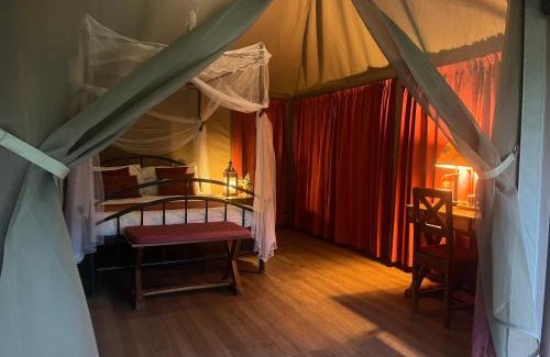 Meru National Park Otro | Ikweta Safari Camp