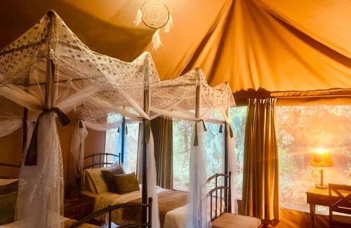Meru National Park Otro | Ikweta Safari Camp