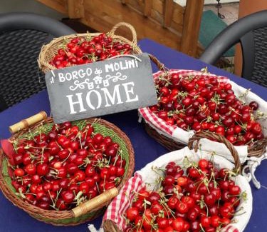 Torreglia Cama Y Desayuno | Il Borgo dei Molini