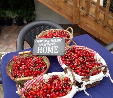 Torreglia Cama Y Desayuno | Il Borgo dei Molini