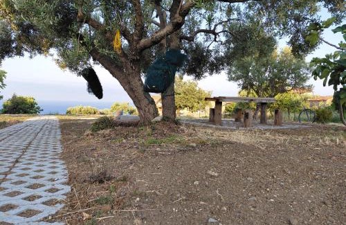 Pisciotta Casa | Il Borgo di Nonno Carlo