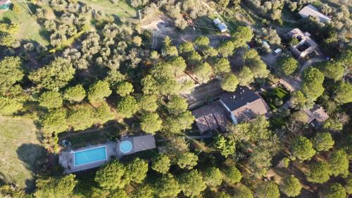 Lidarno Casa | Il Cantico delle Cicale