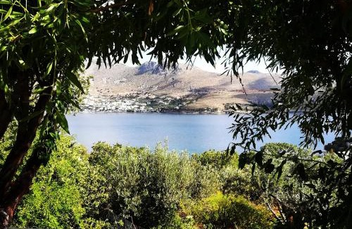 Leros Casa | Il Canto delle Cicale