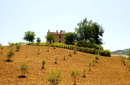 Offida Casa | Il Casale di Giovanna