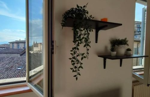Urbino Apartamento | Il cielo di Raffaello