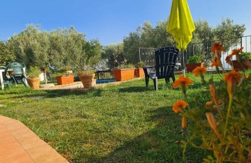 Calimera Casa | Il colle degli ulivi