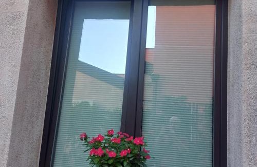 Pedara Casa | Il Cortile