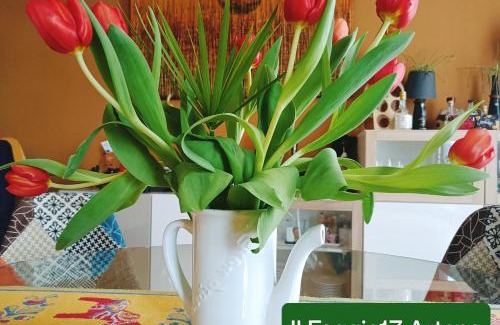 Macere Cama Y Desayuno | Il Faggio 17 B&B