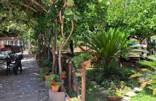 Piazza-Tralia-Pendolo Apartamento | Il Gelso
