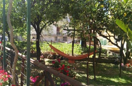 Piazza-Tralia-Pendolo Apartamento | Il Gelso