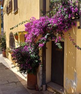 Rosignano Marittimo Casa | Il grillo