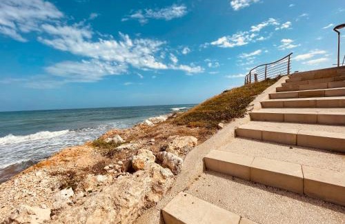 Noto Casa | Il gufo barocco