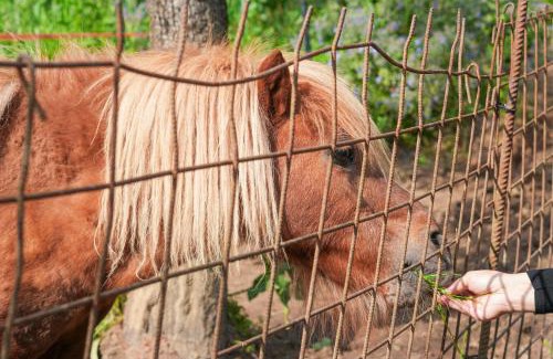 Santo Stefano di Magra Apartamento | Il Nido di Erin