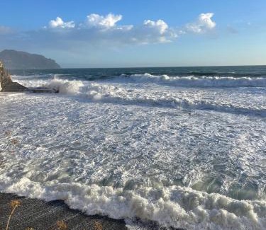 Bogliasco Apartamento | Il nido sul mare blu