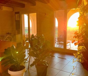 Canino Casa | Il Poggio di Musignano