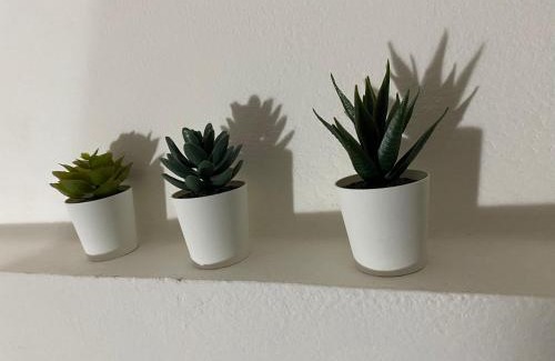 Imola Apartamento | Il Profumo dei Tigli