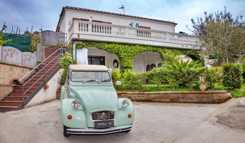 Termini Casa | Il Profumo di Capri