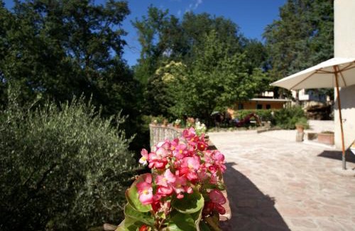 Bosco Cama Y Desayuno | Il Querceto