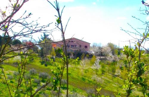 Bettolelle Cama Y Desayuno | Il Rifugio dell'Ape Agriturismo