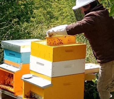 Bettolelle Cama Y Desayuno | Il Rifugio dell'Ape Agriturismo