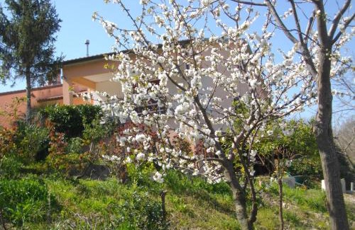 Bettolelle Cama Y Desayuno | Il Rifugio dell'Ape Agriturismo