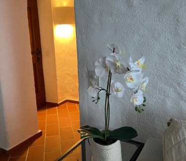 Caslano Apartamento | Il Rustico in Caslano