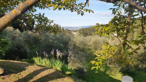 Florence Casa | Il Sottolo