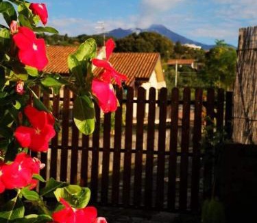 Viagrande Apartamento | Il Tiglio
