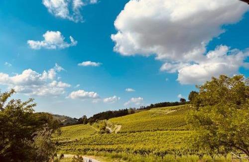 Canevino Apartamento | Il vecchio granaio